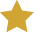 Gold Star Icon